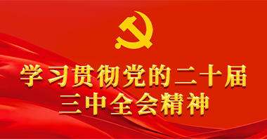 二十届三中全会
